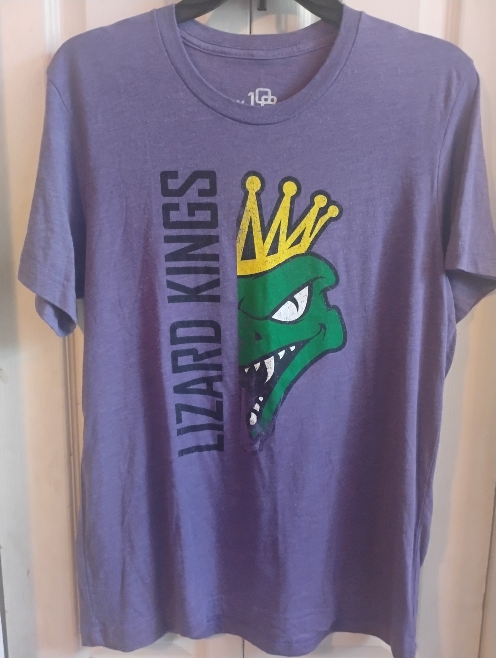 Lizard Kings MiLB Baseball T-Shirt - 108 Stitches - Men's Medium